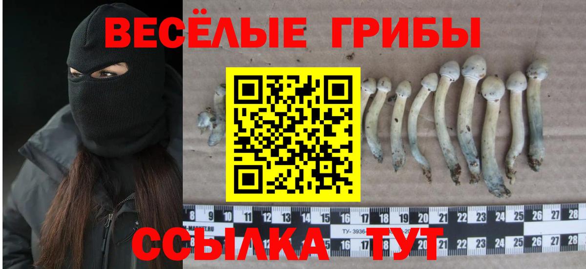 Нижнекамск  Псилоцибиновые грибы MAGIC MUSHROOMS  Вход с VPN 